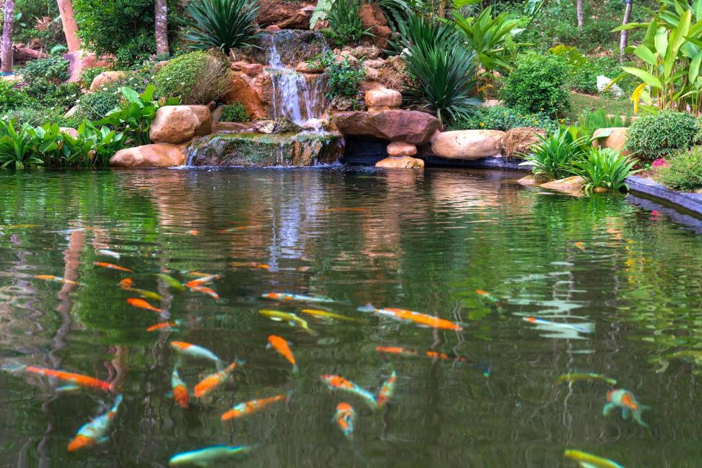 Khu nghỉ dưỡng Avana Retreat