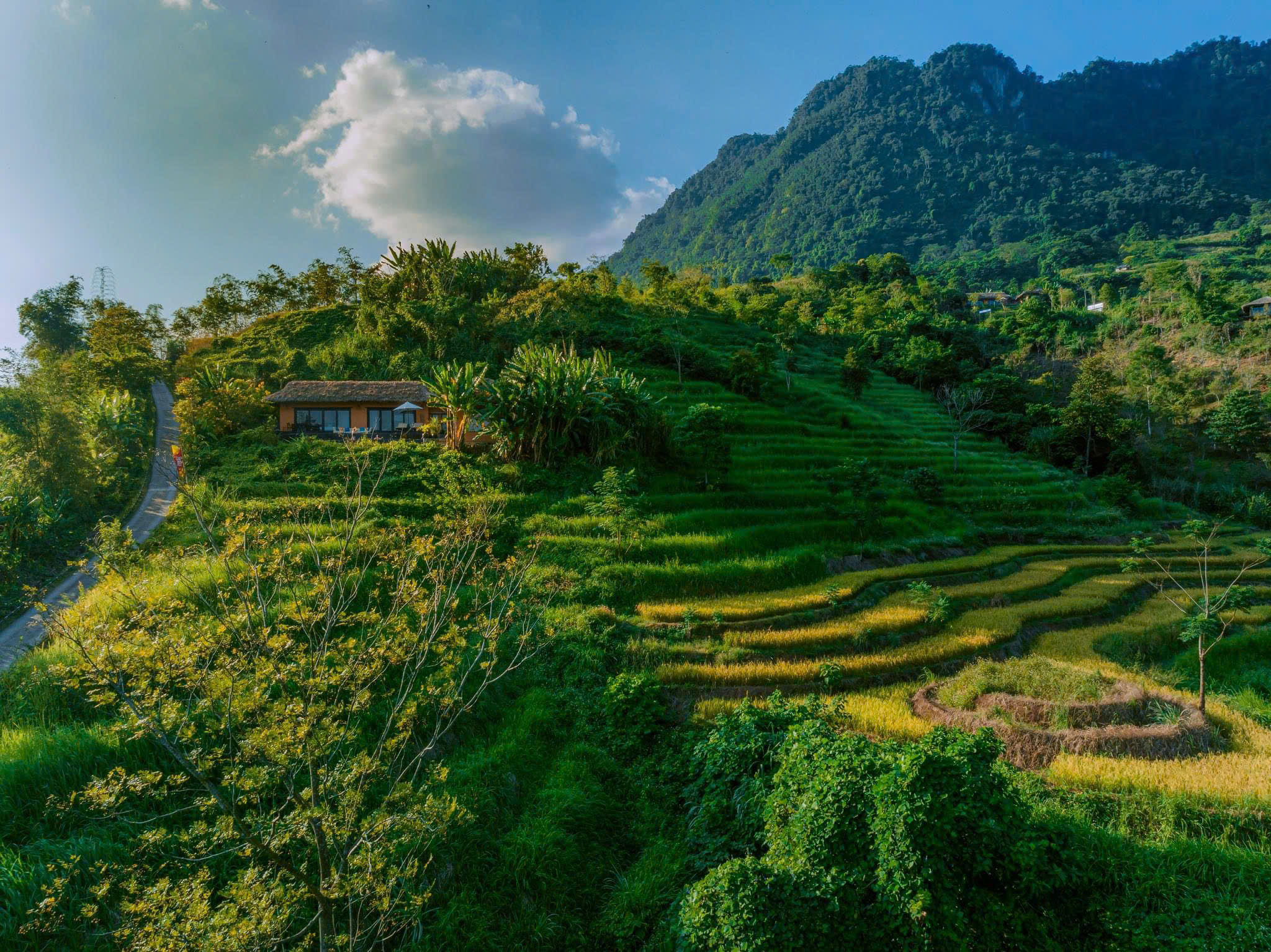 Khu nghỉ dưỡng Avana Retreat
