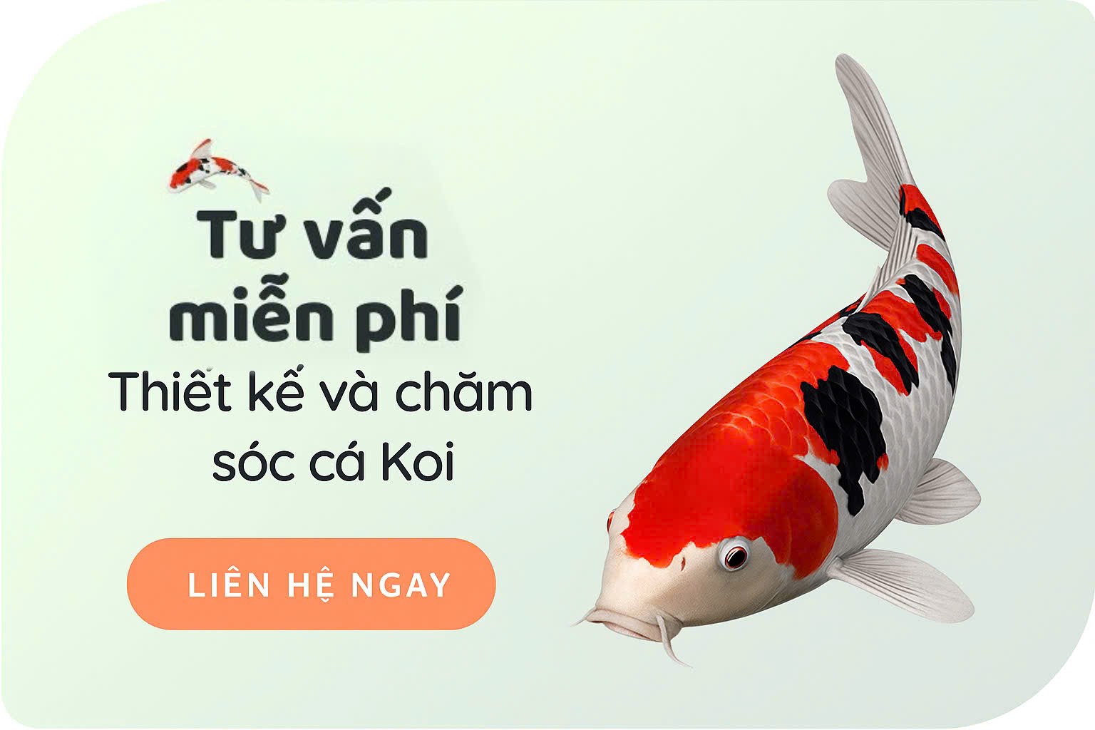 banner_group_1_2.jpg