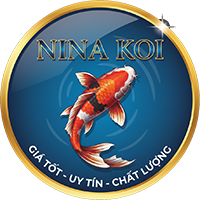 logo CÔ CÁM