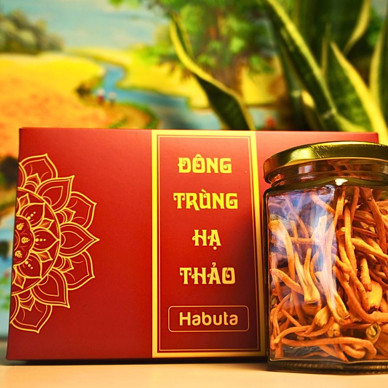 Đông Trùng Hạ Thảo Sấy Thăng Hoa Cao Cấp - 20g