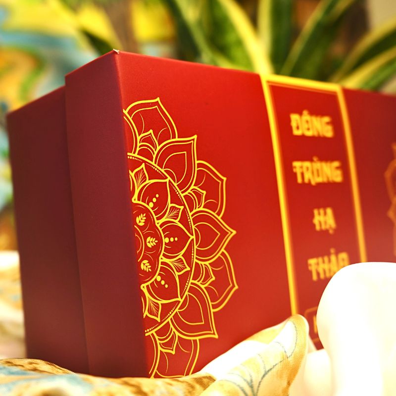 Đông Trùng Hạ Thảo Sấy Thăng Hoa Cao Cấp - 20g