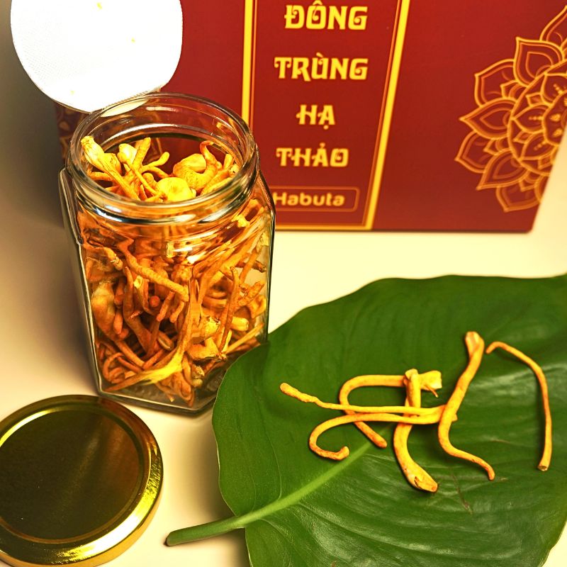 Đông Trùng Hạ Thảo Sấy Thăng Hoa Cao Cấp - 20g