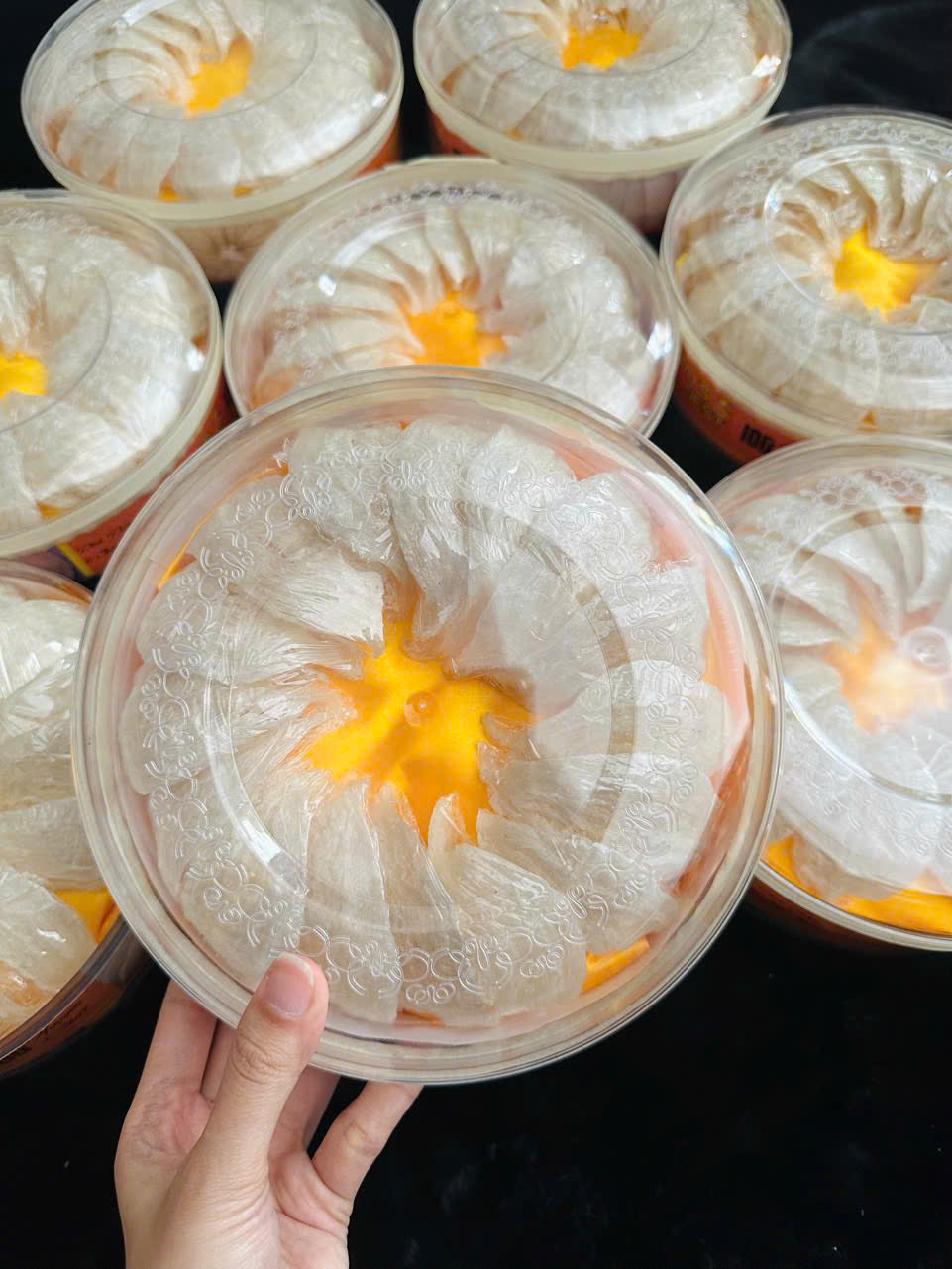 Yến Tinh - Nguyên Sợi VIP Loại 1 (100g)