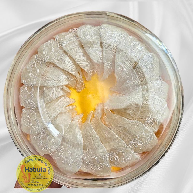 Yến Tinh - Nguyên Sợi VIP Loại 1 (100g)