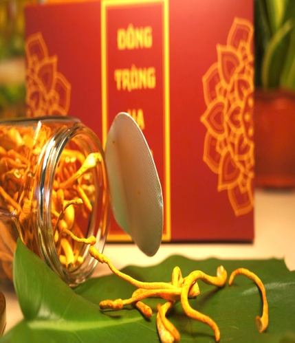 Vì sao chọn chúng tôi