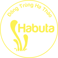 Đông trùng hạ thảo Habuta