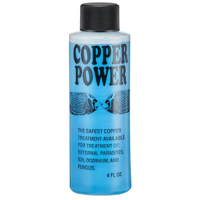 Copper Power Parasite Treatment - Giải Pháp Điều Trị Ký Sinh Trùng Hiệu Quả Cho Cá Cảnh Biển