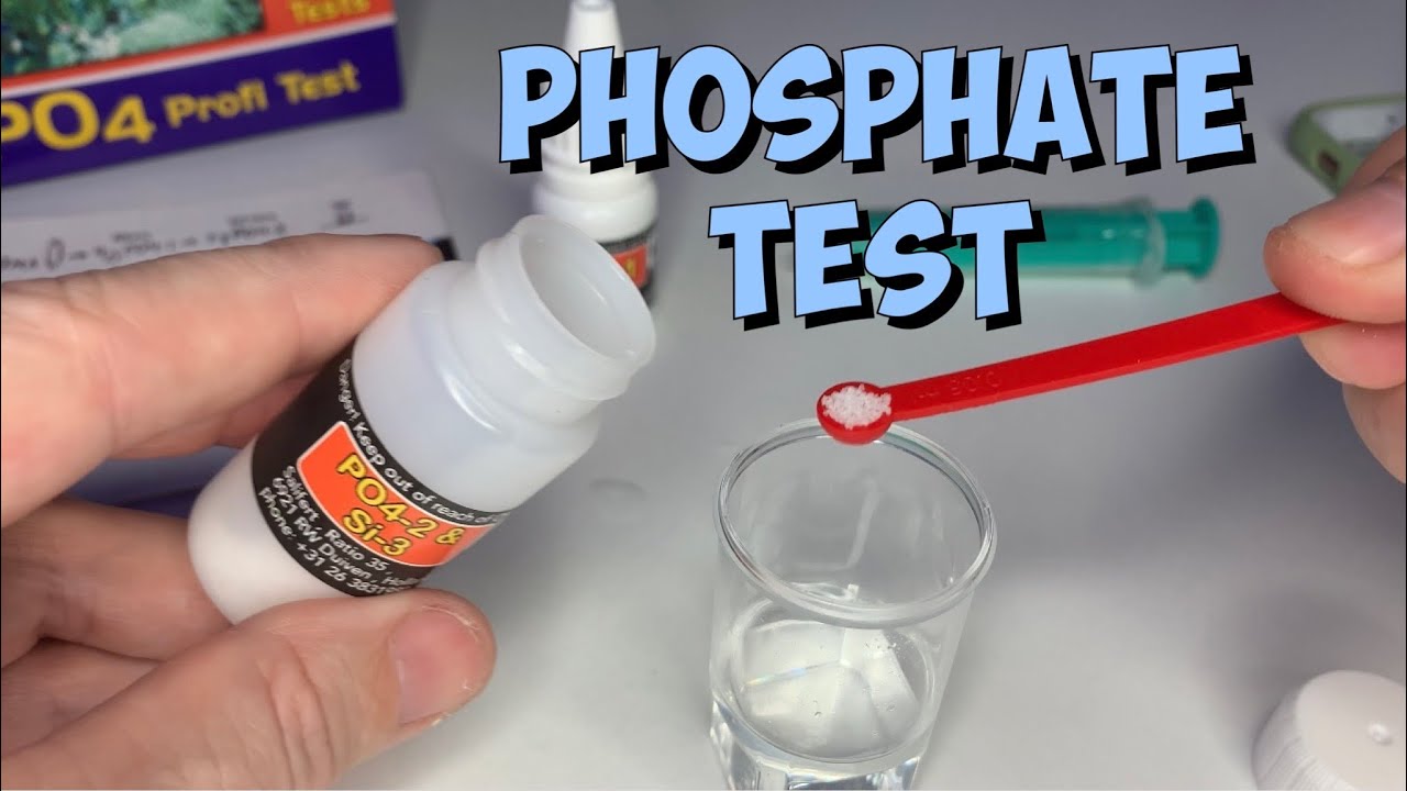 CÁCH SỬ DỤNG TEST SALIFERT