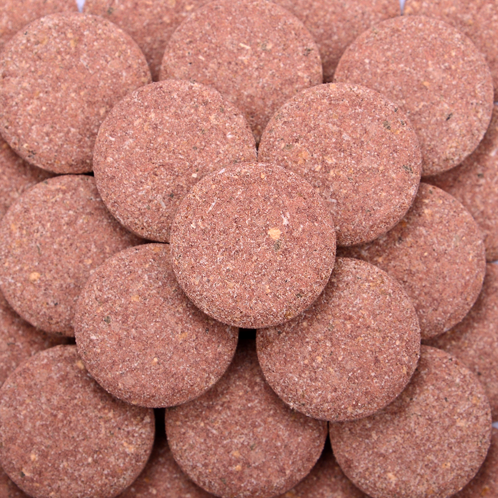 Thức Ăn Viên Dán Cá Biển Nibble Bits – SFBB (Mỹ) | Dinh Dưỡng Tự Nhiên Cho Cá Biển Ăn Thịt & Ăn Tạp