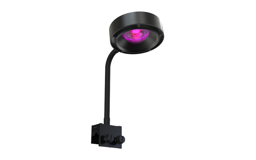 ĐÈN LED NUÔI RONG CHEATO ZOOX REGUPOWER