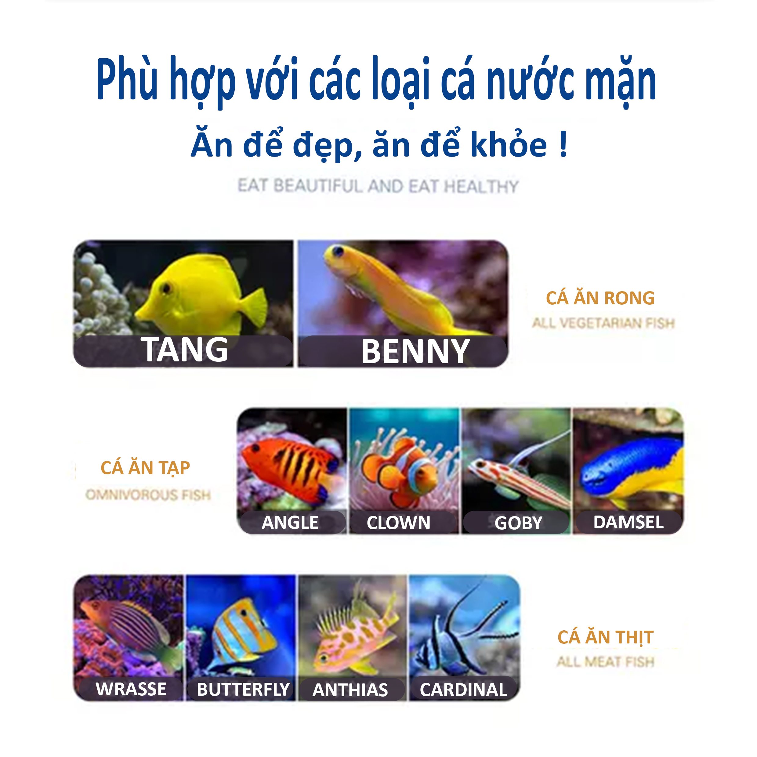 Thức ăn cho cá cảnh biển Ocean Nutrition Formula One 1000G - Dinh dưỡng cao cấp | Aquatick