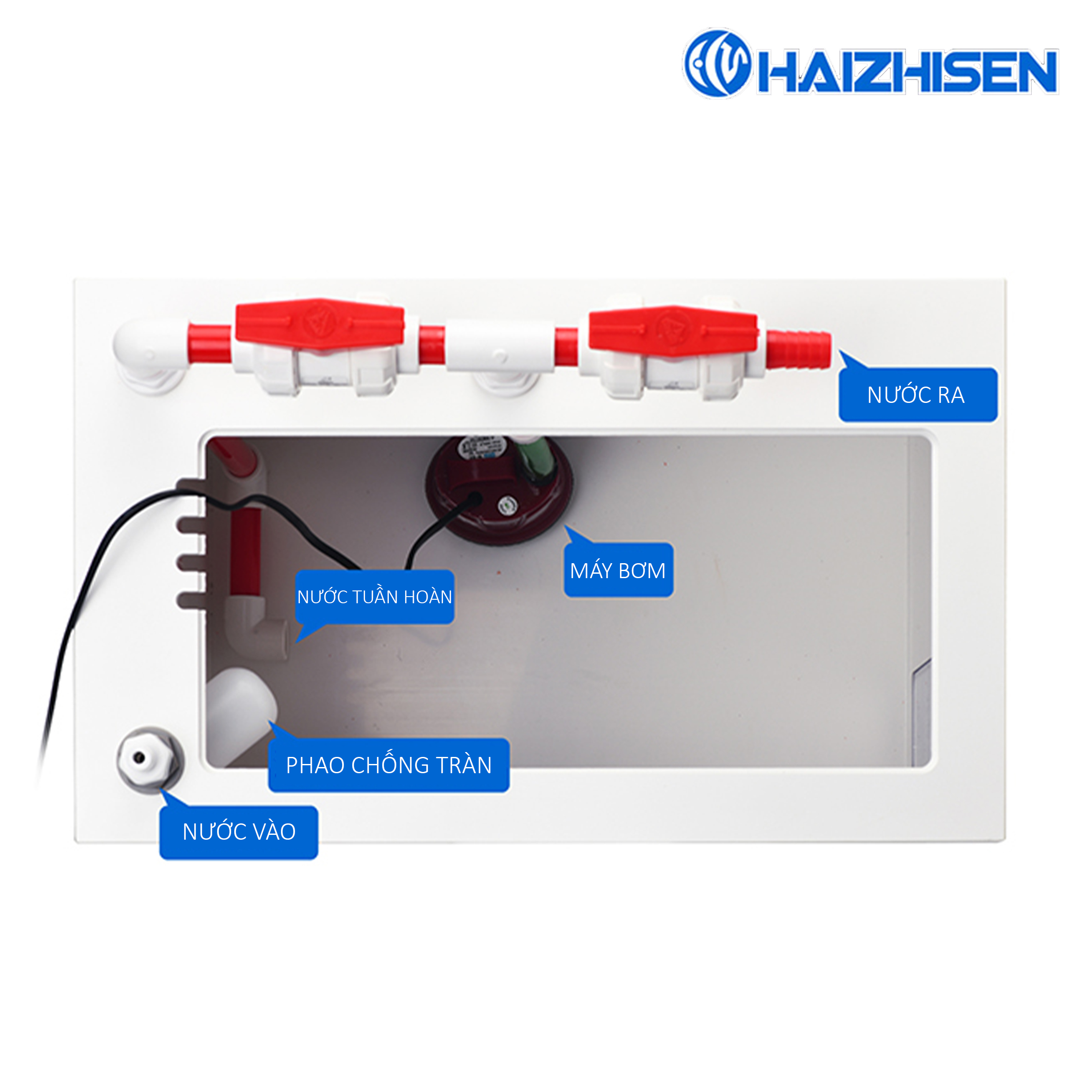 Bể Pha Muối PVC 3 Trong 1 Haizhisen – Giải Pháp "All-in-One" Thông Minh Cho Bể Cá Biển