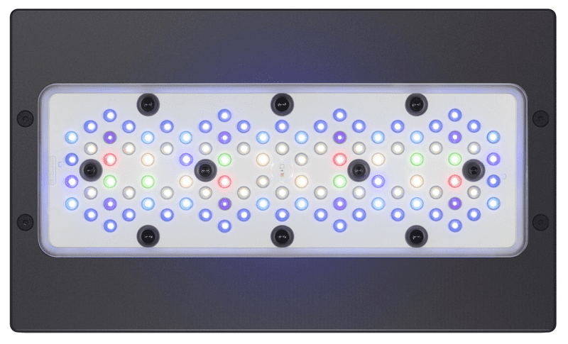 Đèn LED Radion XR30 G6 Blue - Công Nghệ Chiếu Sáng Đỉnh Cao Cho Hồ Cá Biển