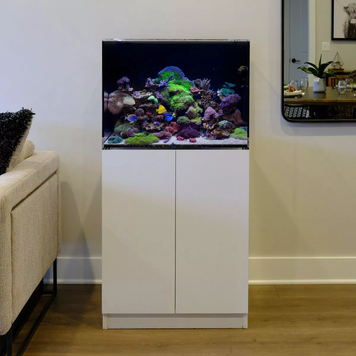 Bể Cá Biển 60cm – Tối Ưu Cho Môi Trường San Hô