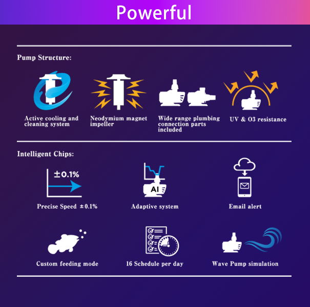 ZOOX Poseidon Return Pump – Máy Bơm Hồi Lưu Hiện Đại, Tiết Kiệm & Hiệu Suất Cao