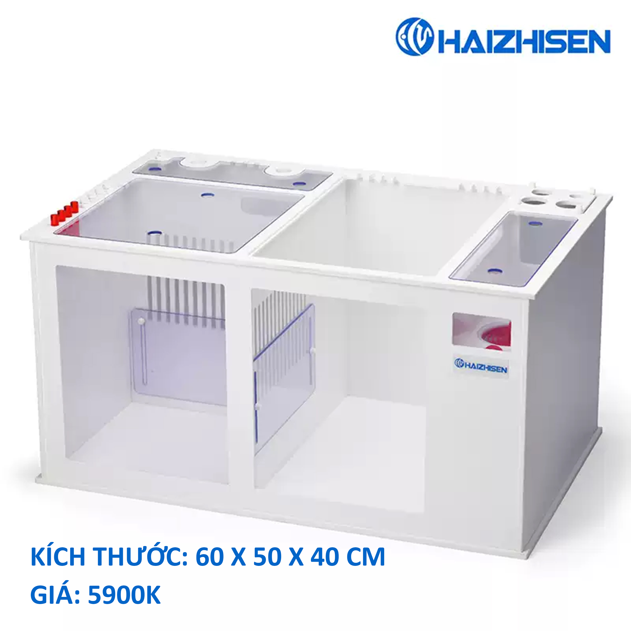 BỂ LỌC PVC HAIZHISEN – THIẾT KẾ THÔNG MINH, TÙY CHỈNH LINH HOẠT CHO HỆ THỐNG LỌC BỂ CÁ BIỂN