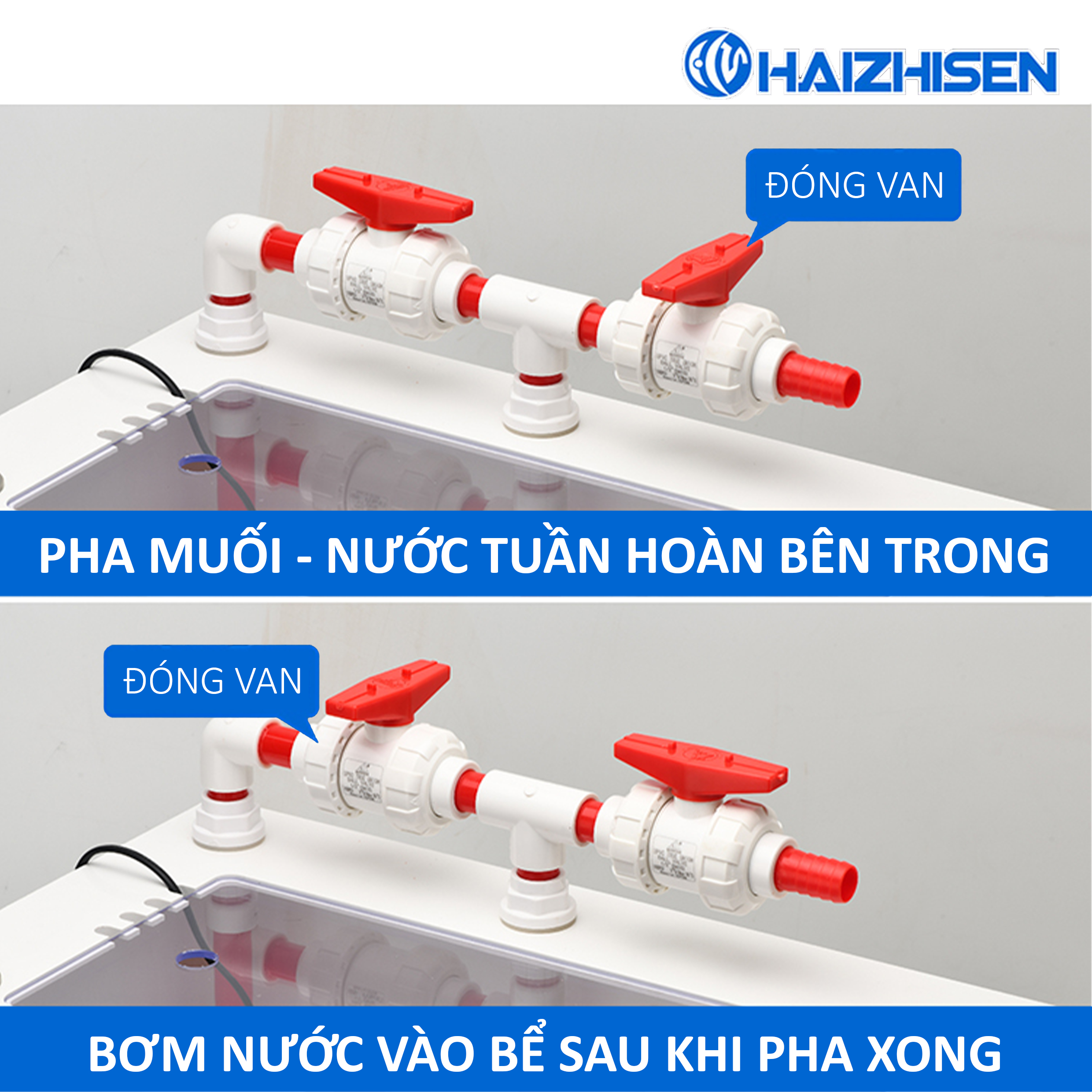 Bể Pha Muối PVC 3 Trong 1 Haizhisen – Giải Pháp "All-in-One" Thông Minh Cho Bể Cá Biển