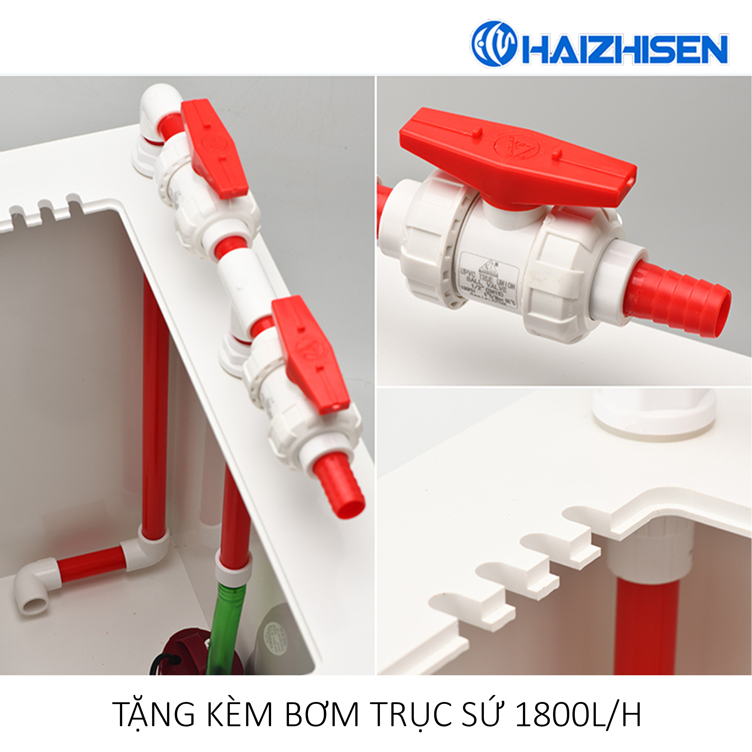 Bể Pha Muối PVC 3 Trong 1 Haizhisen – Giải Pháp "All-in-One" Thông Minh Cho Bể Cá Biển