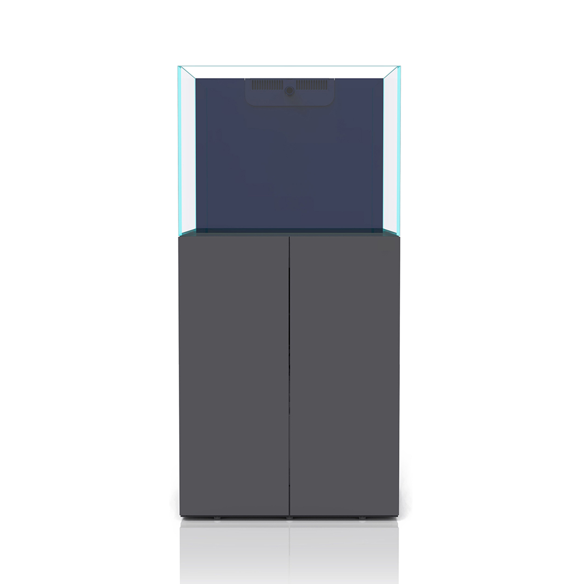 Bể Cá Biển 60cm – Tối Ưu Cho Môi Trường San Hô