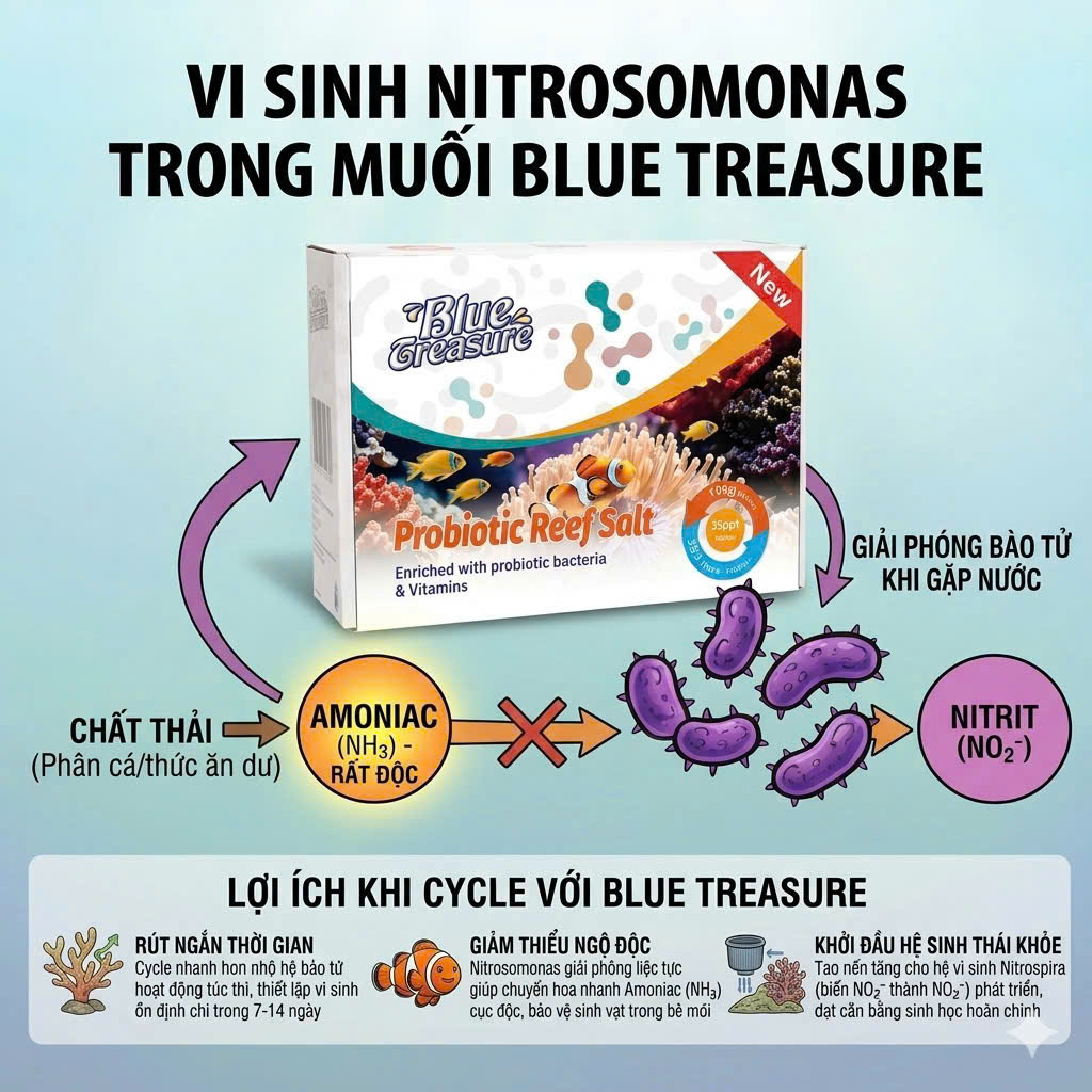 Muối Biển Blue Treasure Probiotic Reef Salt 10kg – Muối Vi Sinh Cao Cấp Cho Bể Cá Biển & Reef