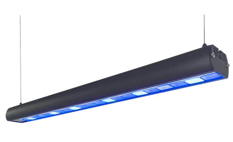 LEDBAR ZOOX ACTINIC SHINNER - BẢN CHIẾU TỎA