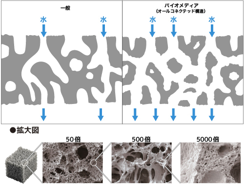 SỨ LỌC ZOOX BIO MEDIA