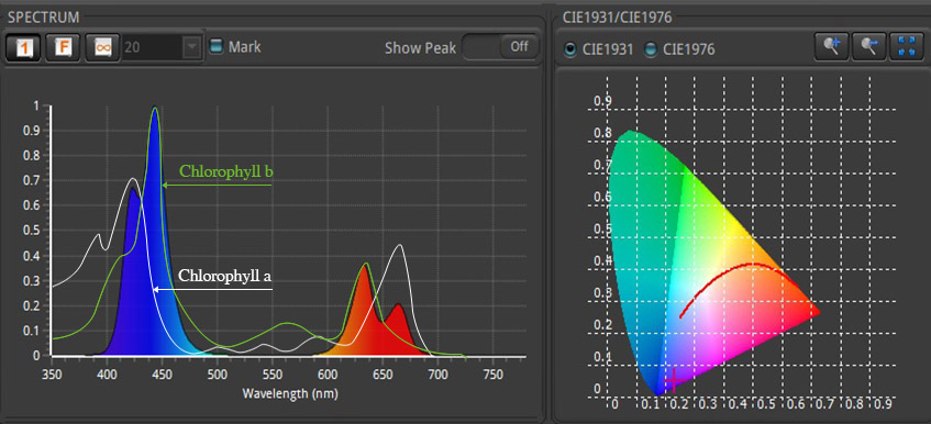 ĐÈN LED NUÔI RONG CHEATO ZOOX REGUPOWER