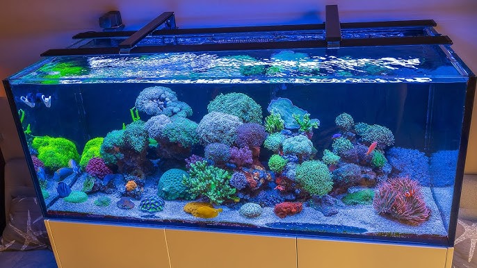 ĐÈN LEDBAR BLADE CORAL GROW - AQUAILLUMINATION