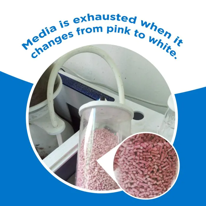 VẬT LIỆU LOẠI BỎ CO2 CHO BỂ CÁ CẢNH 500ML