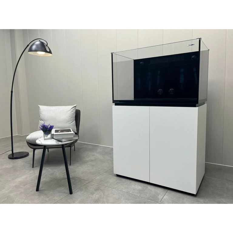 Bể Cá Biển 60cm – Tối Ưu Cho Môi Trường San Hô