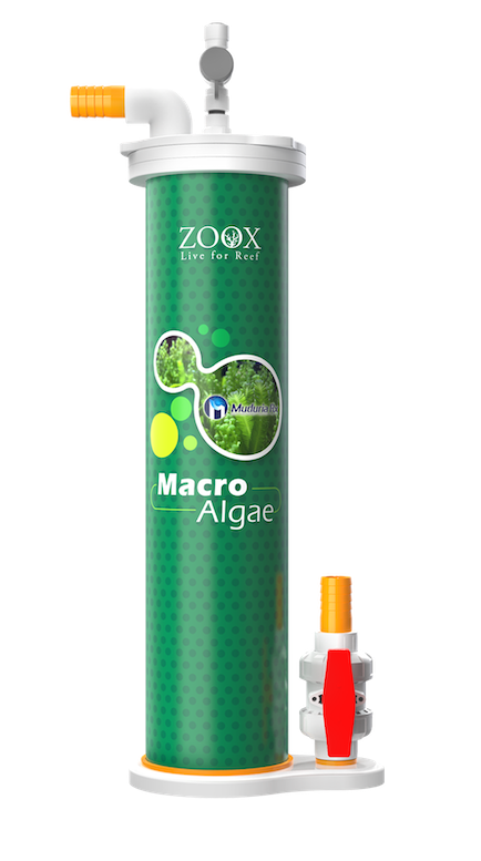 ZOOX Moduria UV Lò Nuôi Rong Cheato - Thiết Bị Xử Lý NO3 và PO4 Một Cách Tự Nhiên Cho Bể Cá