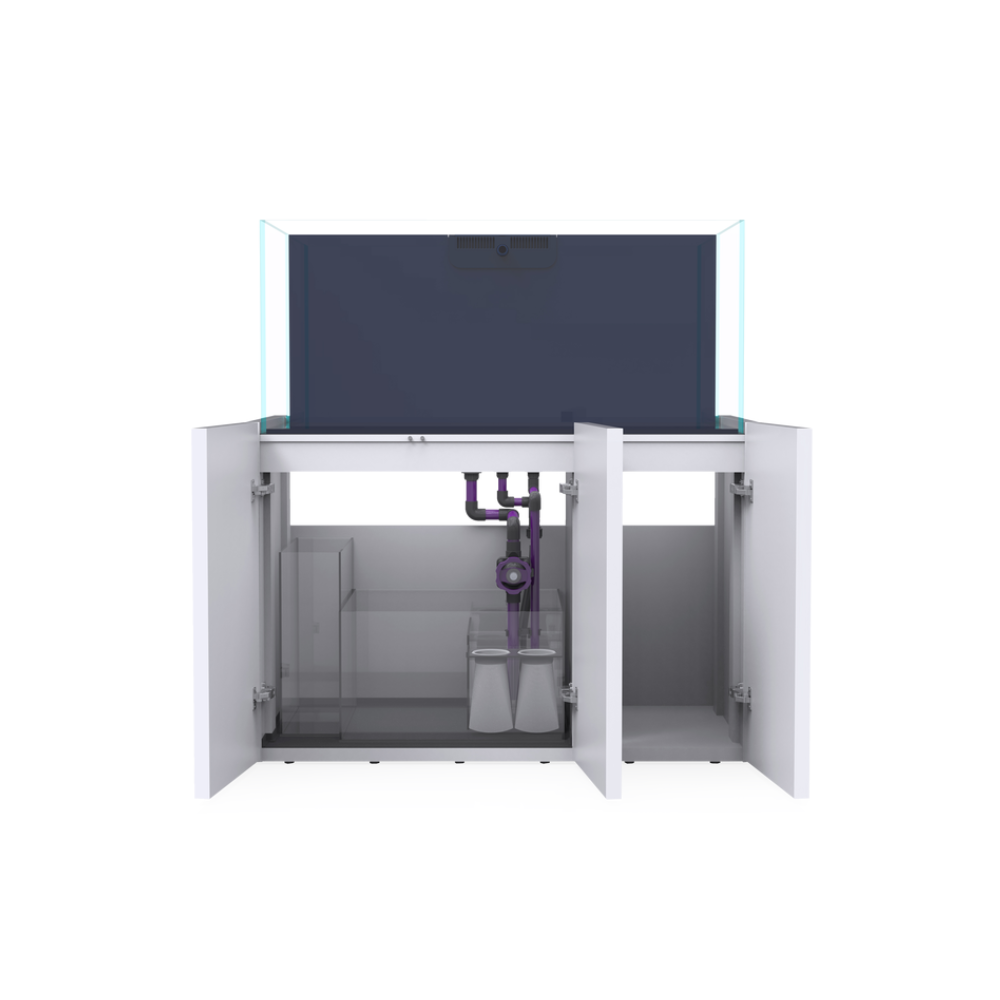 Bể Cá Biển 120cm – Giải Pháp Tối Ưu Cho Không Gian Sinh Động