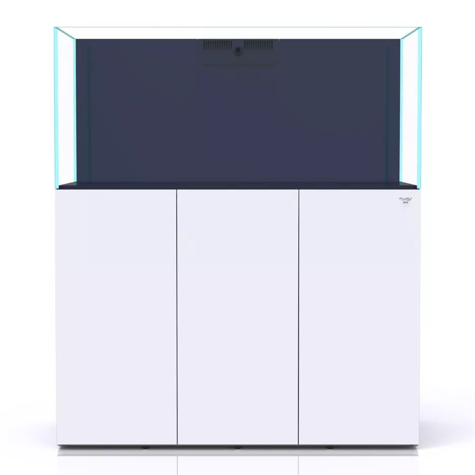 Bể Cá Biển 120cm – Giải Pháp Tối Ưu Cho Không Gian Sinh Động