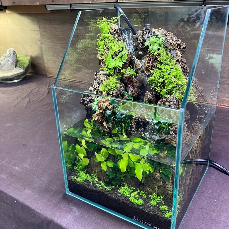 ĐÈN LED CHO BỂ BÁN CẠN ZOOX TROPICAL RAY 20W