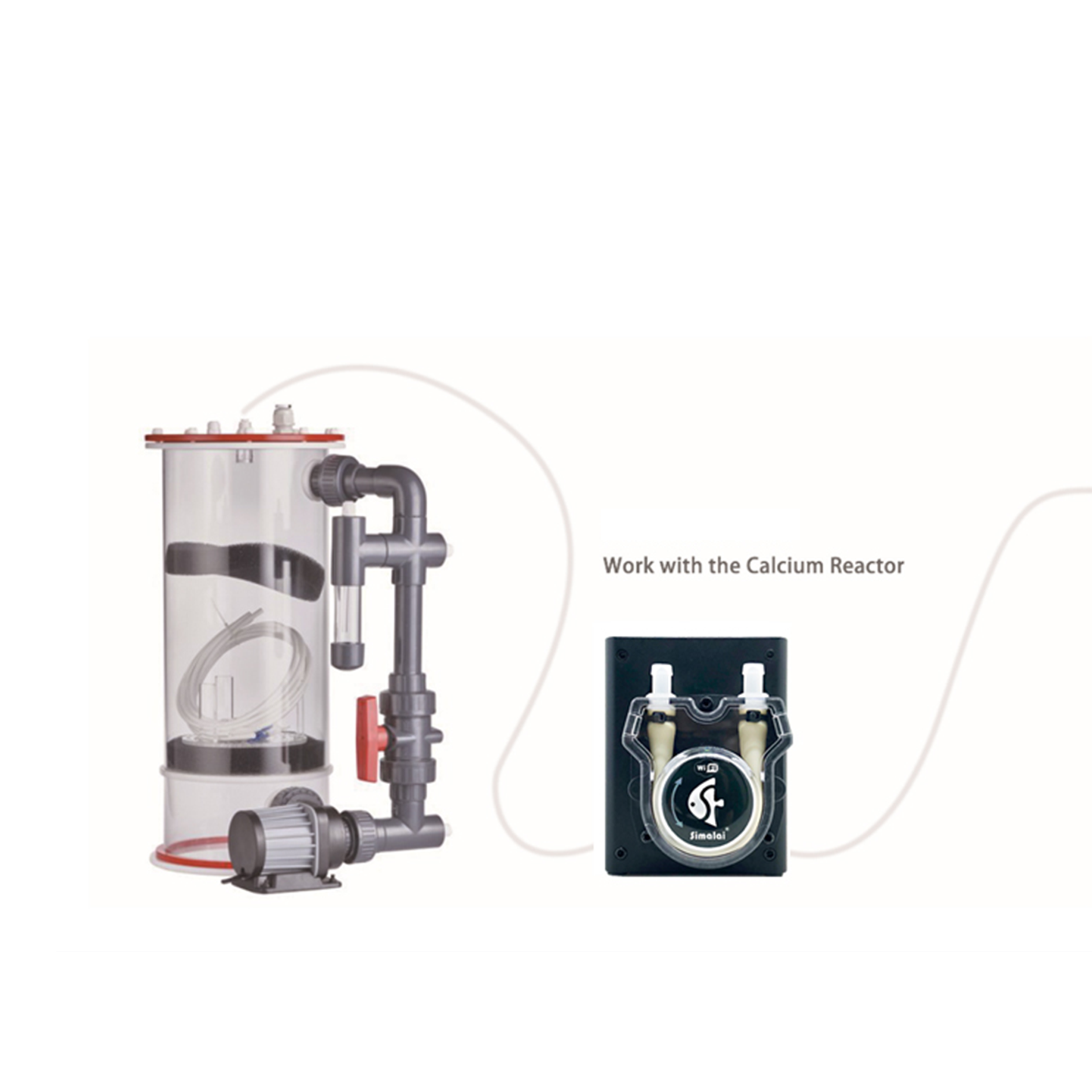 BƠM ĐỊNH LƯỢNG CHO LÒ CANXI SIMALAI S-01