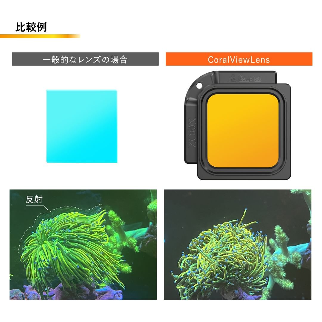 Polyp Lab - Zoox Coral Lens - Ống Kính Chuyên Dụng Chụp Ảnh San Hô
