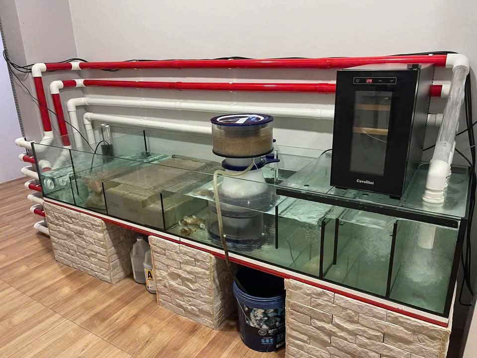 SỨ LỌC ZOOX BIO MEDIA