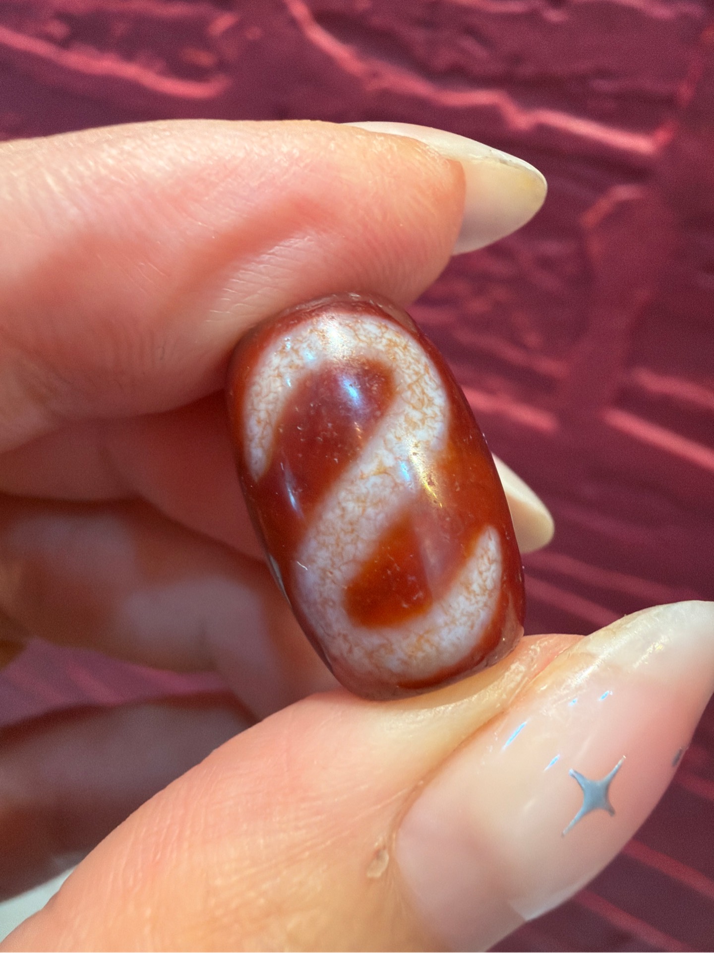 Tiny huyết móc tiền