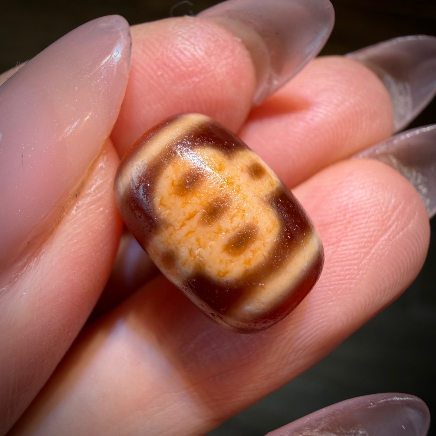 Tiny 5m hoa mai HHC
