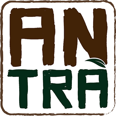 AN TRÀ DZI