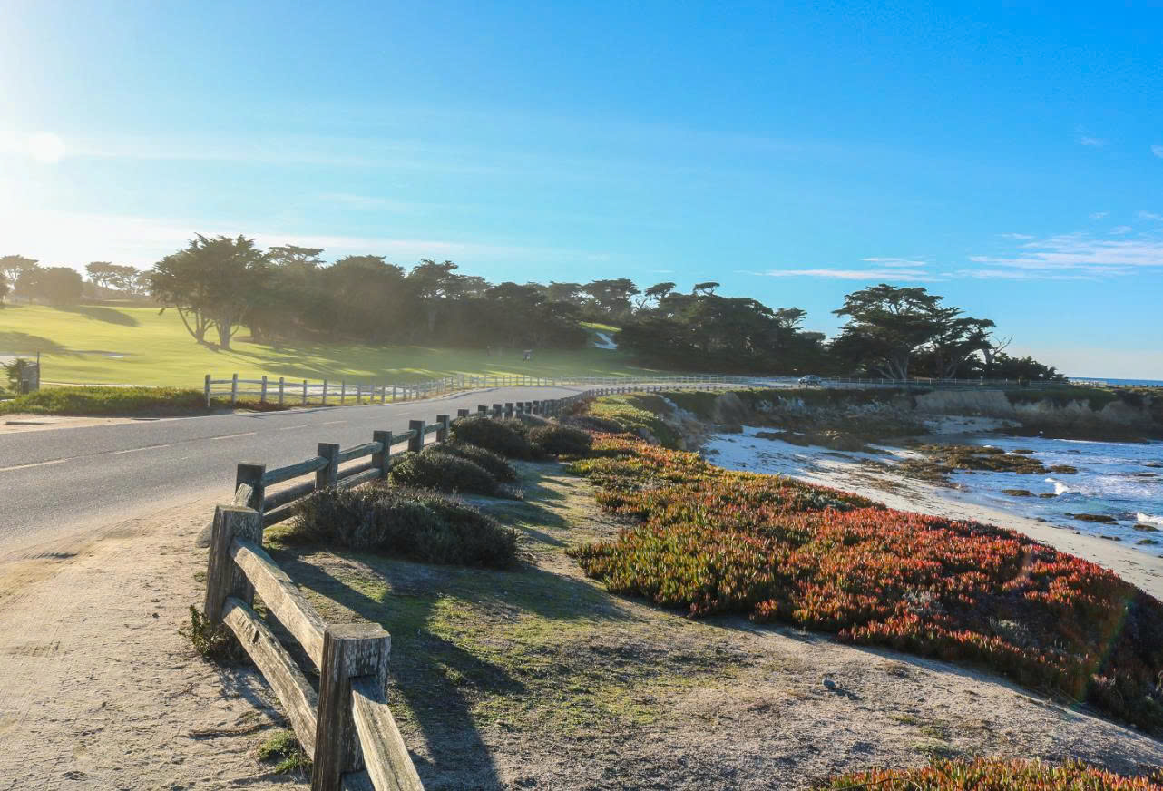 Bãi biển 17-Mile Drive: Hòn Ngọc Bên Biển Đại Dương