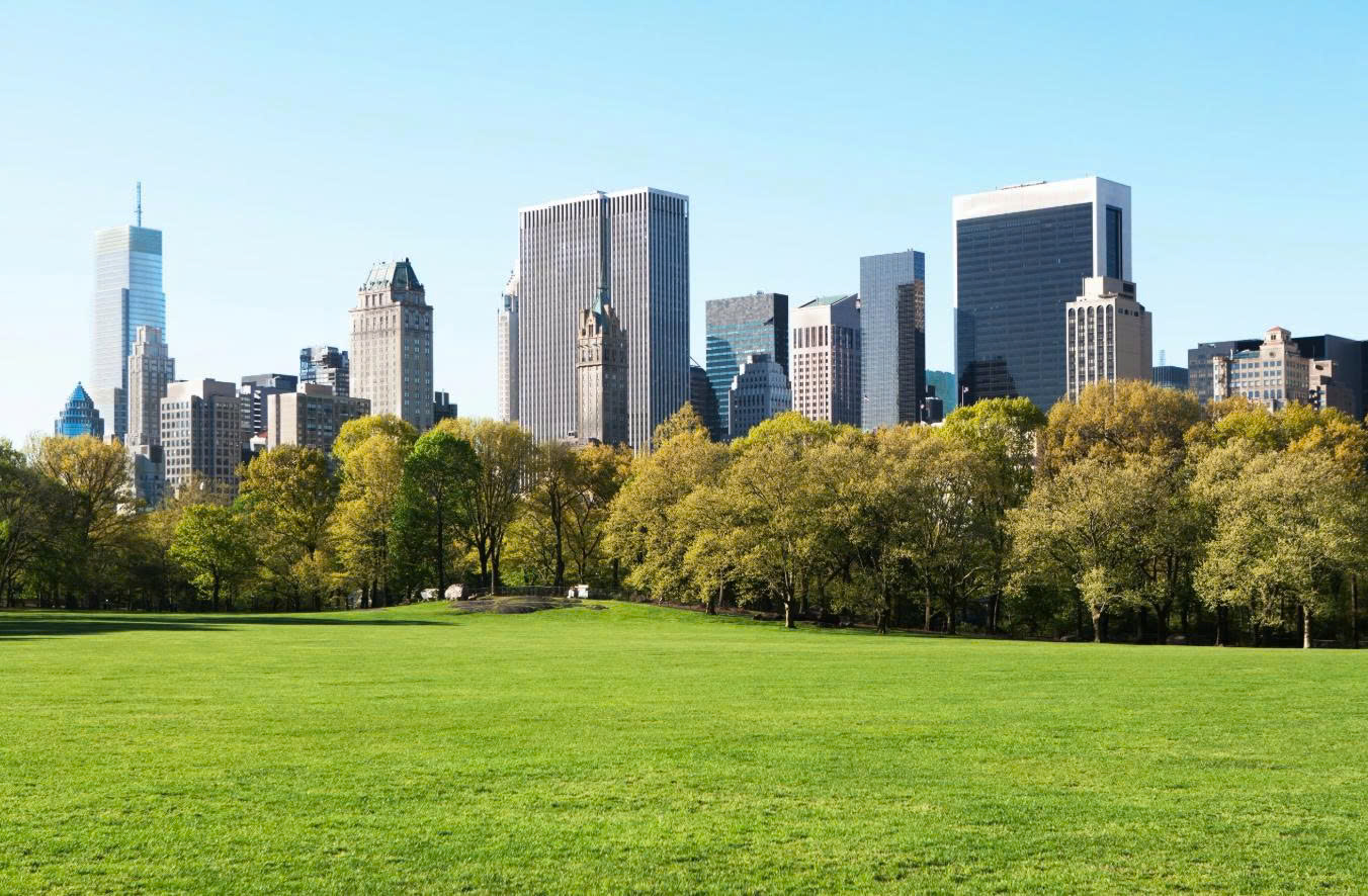 Khu vườn xanh giữa lòng thành phố: Central Park – Trái tim của New York City
