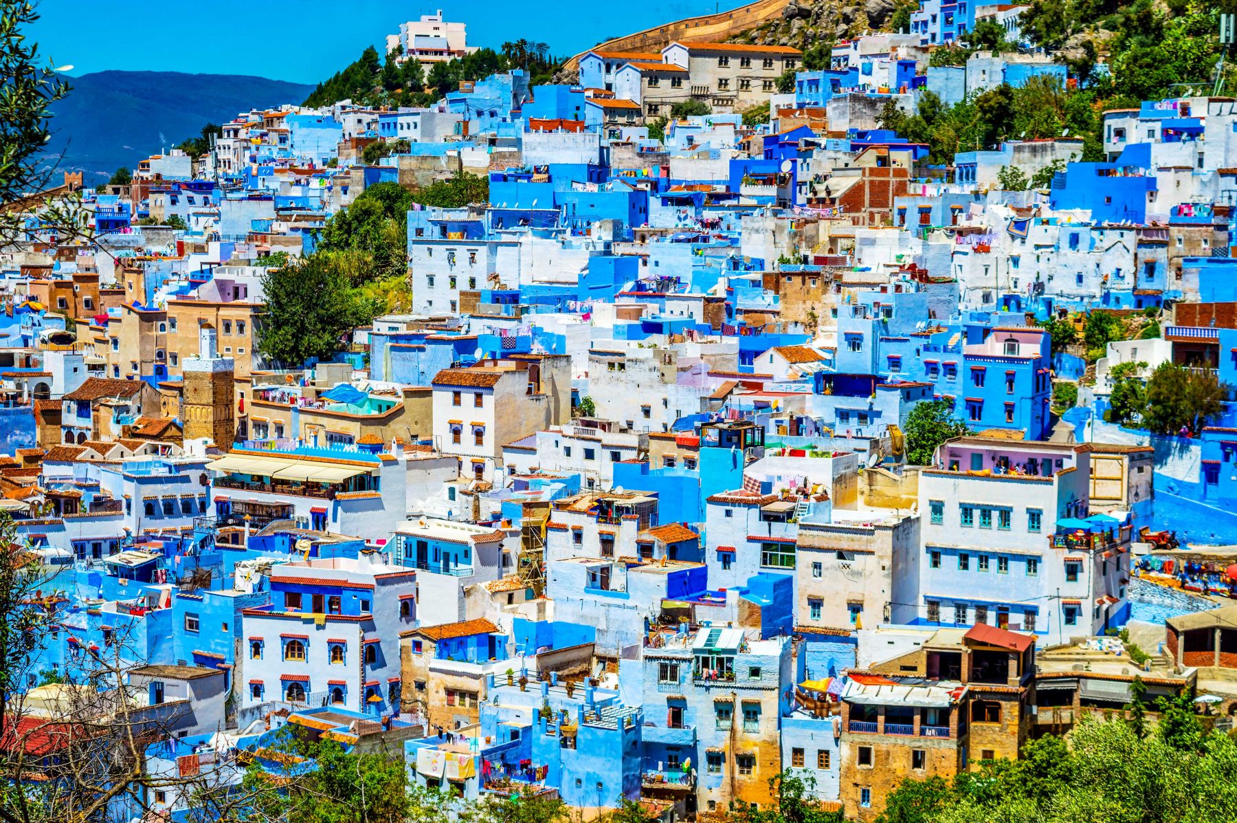 Khám Phá Vẻ Đẹp Bình Yên Của Chefchaouen