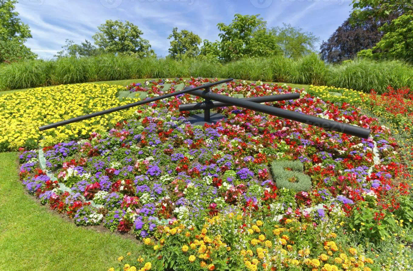 Đồng Hồ Hoa – Biểu Tượng Nghệ Thuật và Thời Gian tại Geneva