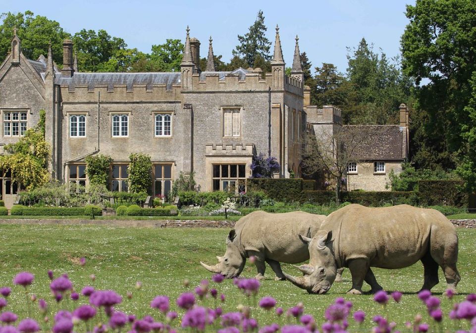 Cotswold Wildlife Park and Gardens: Kỳ Quan Thiên Nhiên và Sự Đa Dạng Động Vật