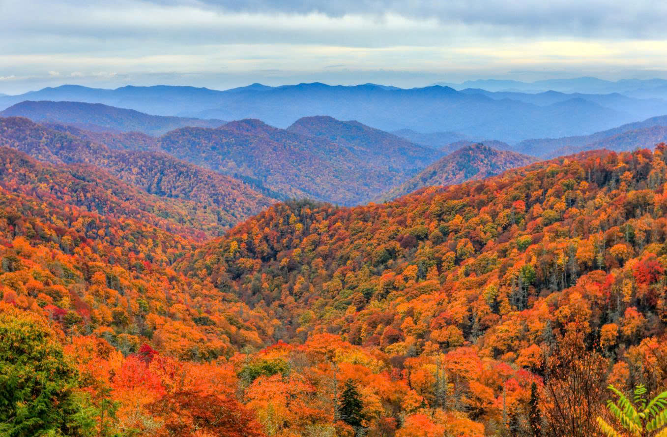 Vườn quốc gia Great Smoky Mountains – Hòa ca với vẻ đẹp thiên nhiên tuyệt diệu của Hoa Kỳ