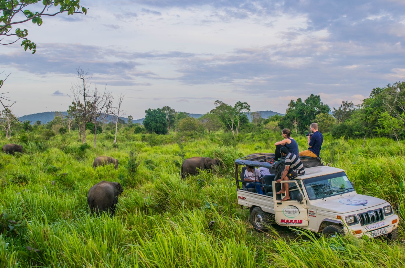 Habarana: Thiên đường của Sự Bình Yên và Sự Phiêu Lưu