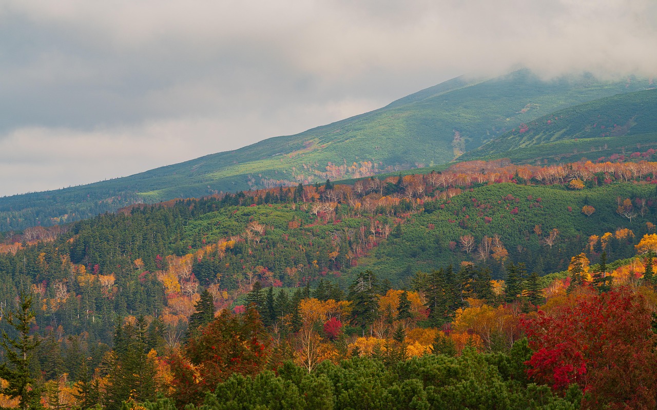 Văn hóa độc đáo Hokkaido: Văn hóa đặc trưng của Hokkaido và Ẩm thực địa phương.