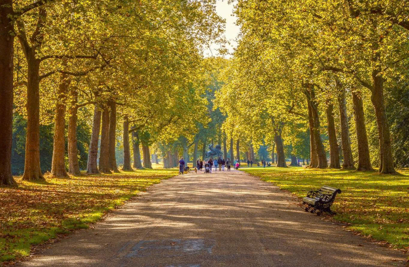 Hyde Park London: Lá Phổi Xanh Giữa Trái Tim Thủ Đô